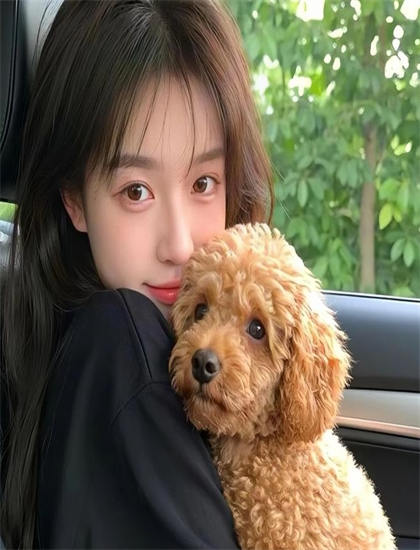 发布会实录：影视评论：《幸福媳妇成长记》的艺术价值与娱乐性平衡